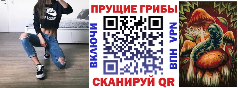 купить  сайты  Нижнекамск  Галлюциногенные грибы GOLDEN TEACHER 