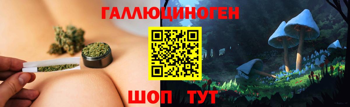 Нижнекамск  Галлюциногенные грибы ЛСД  Вход с VPN  Псилоцибиновые грибы Cubensis 