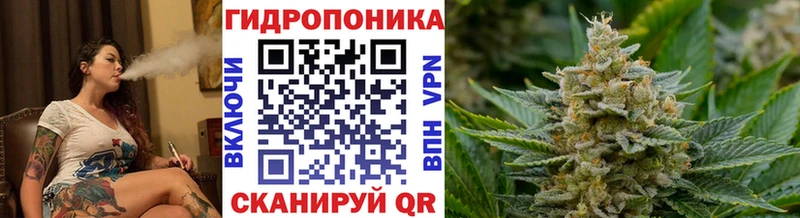 Конопля сатива  Нижнекамск 