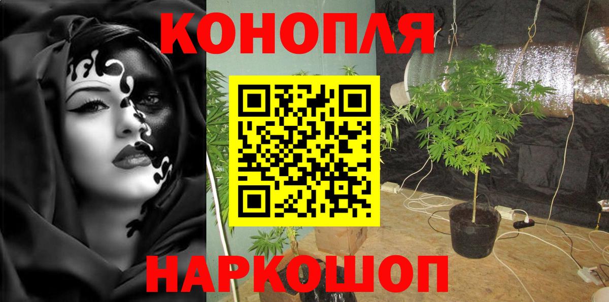 Бошки марихуана THC 21% Нижнекамск